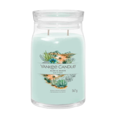 vela aromatica Aloe Agave grande Yankee candle Aromara Pontevedra